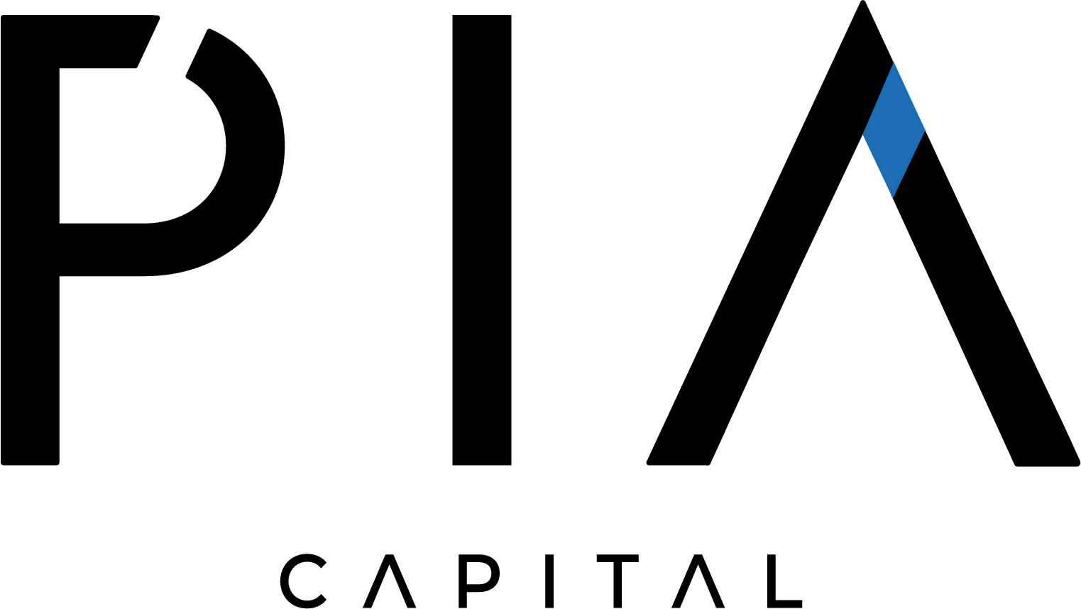 BLACK_BLUE_PIA CAPITAL